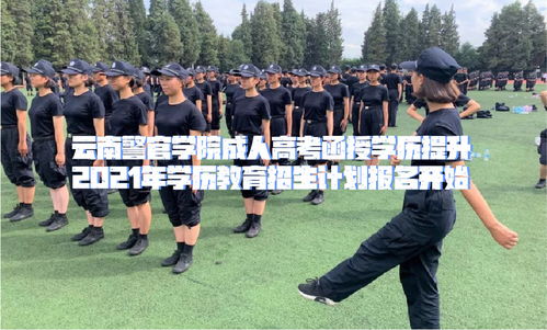 云南警官學院成人高考函授學歷提升招生